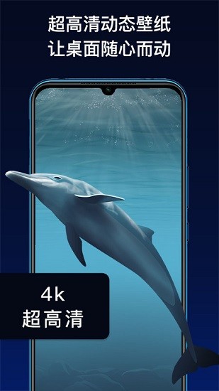 動(dòng)態(tài)主題手機(jī)軟件app下載