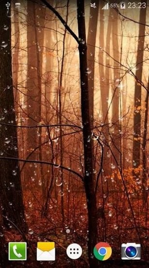 螢火蟲雨滴動態(tài)壁紙軟件 v1.0.5 安卓版 0