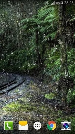 螢火蟲雨滴動態(tài)壁紙app