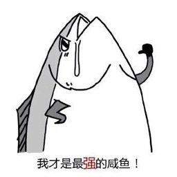 我的世界咸魚(yú)空島整合包