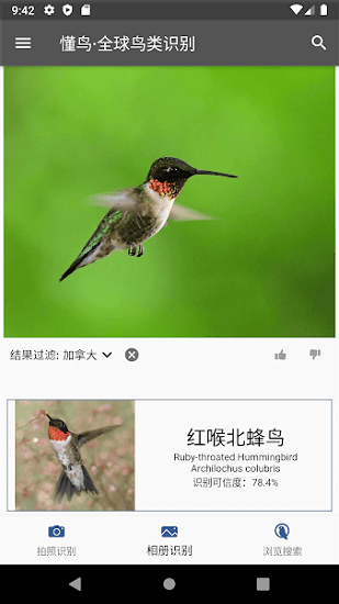 懂鳥(niǎo)全球鳥(niǎo)類(lèi)識(shí)別軟件 v0.0.10 安卓版 2