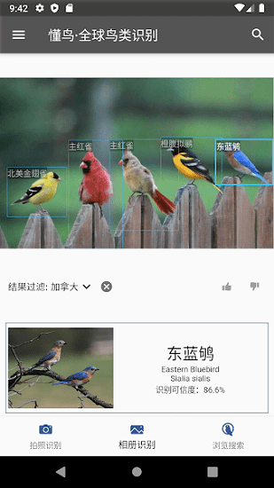 懂鳥(niǎo)全球鳥(niǎo)類(lèi)識(shí)別軟件 v0.0.10 安卓版 1