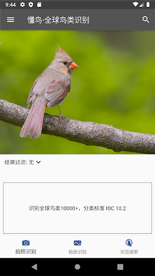 懂鳥(niǎo)全球下載