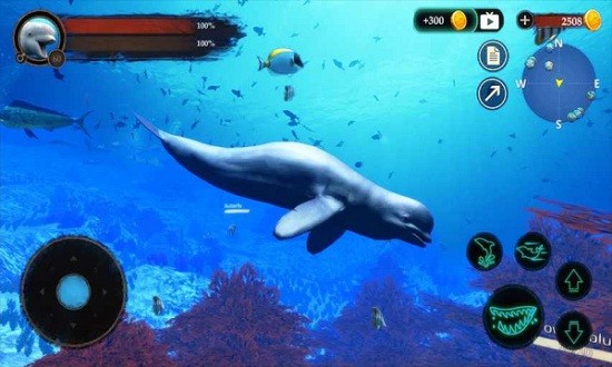 The Beluga Whale最新版 v1.0.1 安卓版 2