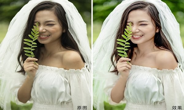 魯班修圖電腦版 魯班修圖軟件免費(fèi)下載