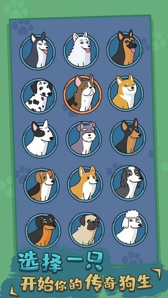 狗生模擬器 v230 安卓版 0