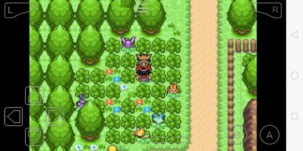 去吧伊布4.0伊布進化版 v4.0 安卓漢化修復版 2