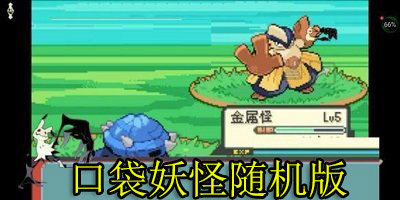 口袋妖怪隨機(jī)版