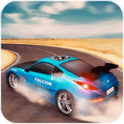 神奇的漂移賽車最新版(Mr.Drifter)