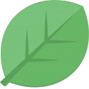 雀大師播放器pc版