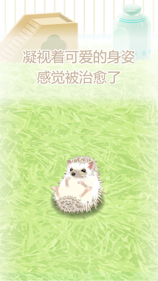 治愈的猬育成 v1.4 安卓版 3
