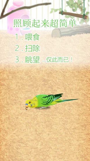 治愈的鸚鵡育成parakeet v1.0 安卓版 0