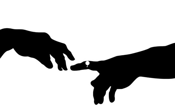 沃威沃游戏 v1.0.3 安卓版0