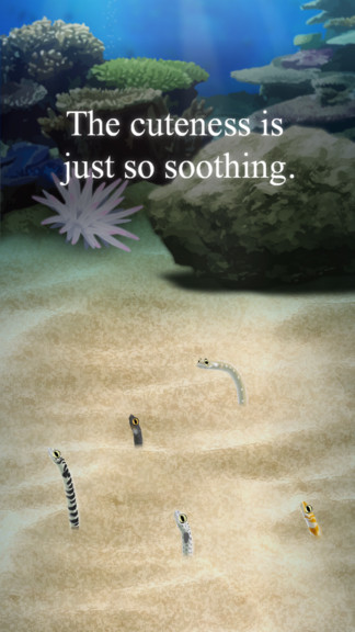 治愈的斑鱔花園育成