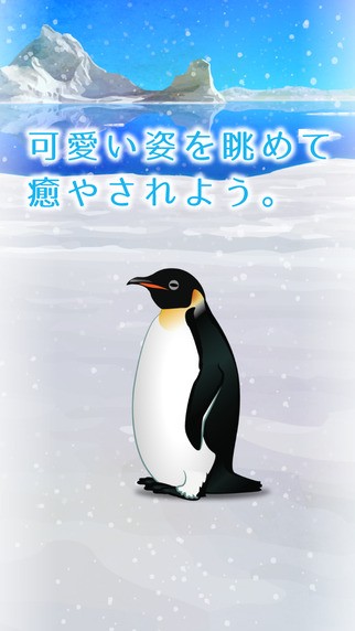 治愈的企鵝育成penguin v1.0 安卓版 0