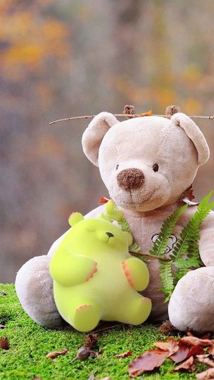 治愈萌芽熊免費(fèi)版(萌芽熊的小治愈) v1.0.23 安卓版 0