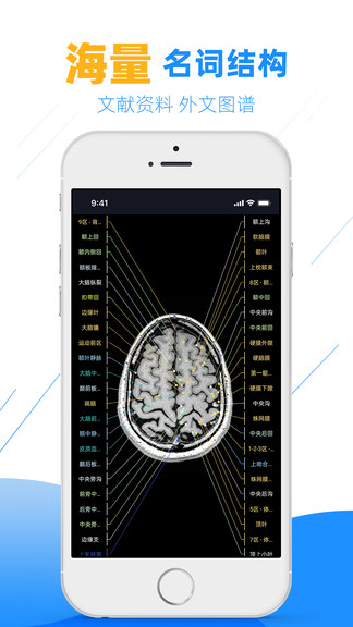 影像學(xué)圖譜軟件 v200 最新版 3