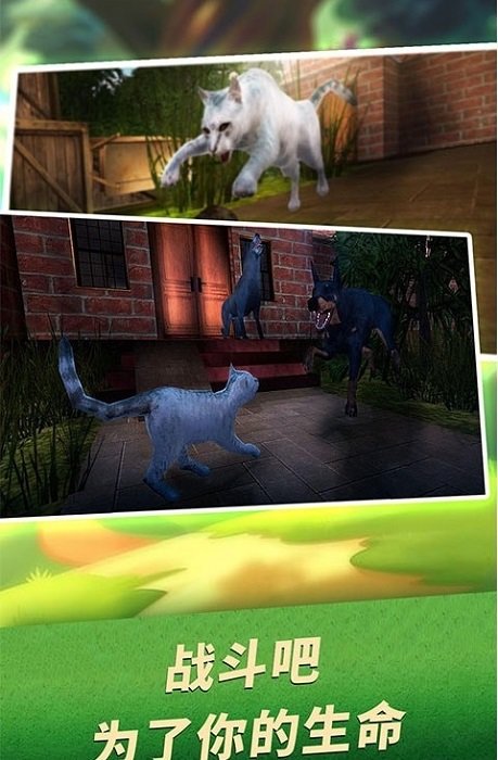 家貓生存模擬器中文版下載