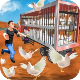公雞養(yǎng)殖場游戲