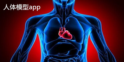 人體模型app