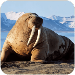 海獅模擬器游戲