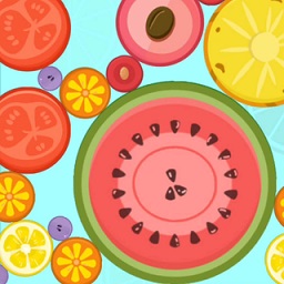 合成大西瓜特別版