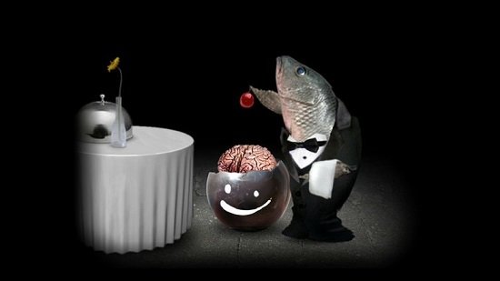 種mitoza手機版 v0.51 安卓版 0