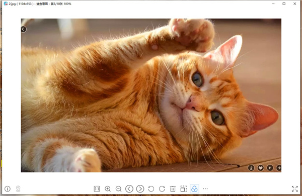 鯊魚看圖最新版下載