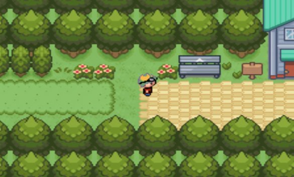 口袋妖怪釉色血皇版 v1 安卓版 1