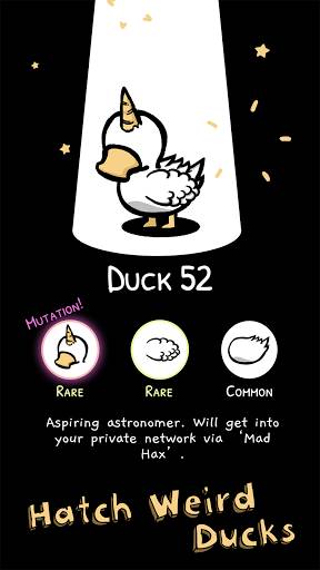 鴨星團clusterduck中文 v1.0.0 安卓版 2