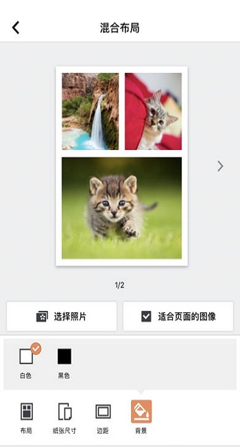 selphy photo layout證件照 v2.1.0 安卓版 2