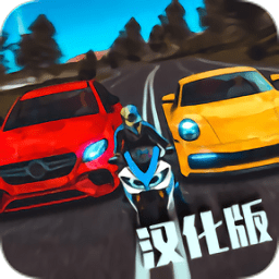 realdrivingsim汽車版