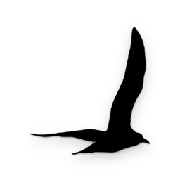 深度背單詞軟件