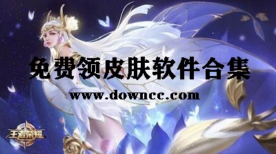 領(lǐng)皮膚軟件