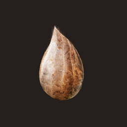 種子模擬器手機版