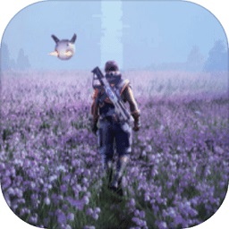 铃兰计划游戏(convallaria)