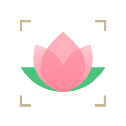 識花最新版