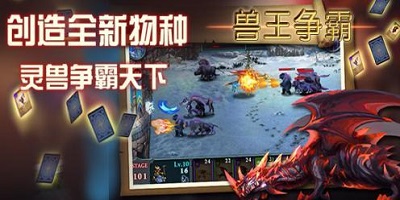 獸王爭(zhēng)霸