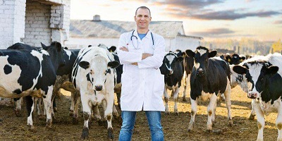 獸醫(yī)題庫哪個(gè)軟件好-執(zhí)業(yè)獸醫(yī)資格考試題庫app-2023官方獸醫(yī)考試題庫