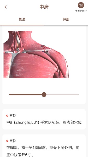 經(jīng)絡(luò)穴位3D最新版 v2.0.0 安卓版 0