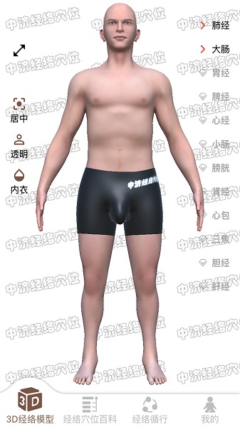 經(jīng)絡(luò)穴位3D最新版 v2.0.0 安卓版 3