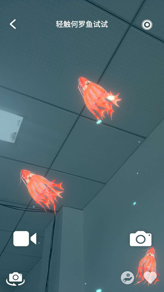 奇幻光影森林vr v1.1.0 安卓版 2