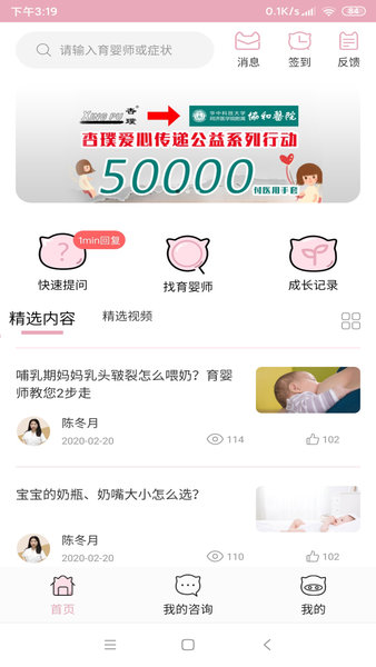 小母猪 小母猪下载