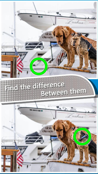 大腦差異拼圖最新版 v0.2 安卓版 3