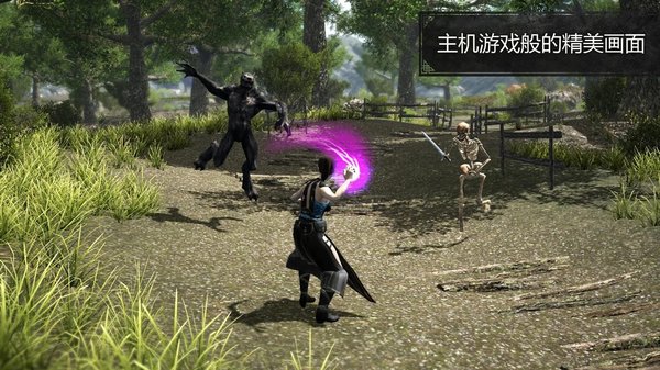 邪惡的土地游戲 邪惡的土地手游下載