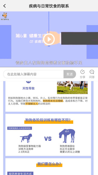 宠物驯养小课程最新版 宠物驯养小课程app