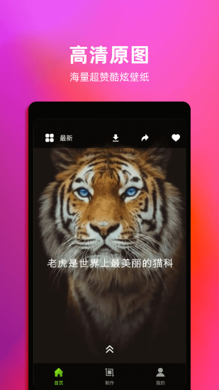 4k動態(tài)壁紙手機壁紙 v1.6 安卓版 3