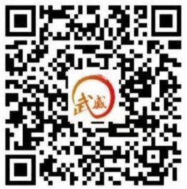 武威政務(wù)掌上辦app二維碼