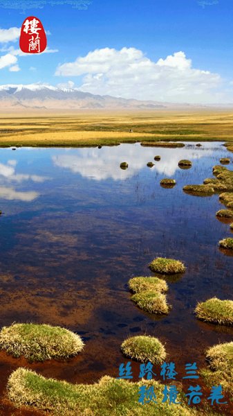 若羌好地方官方版0