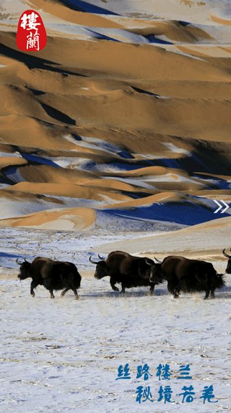 若羌好地方官方版3